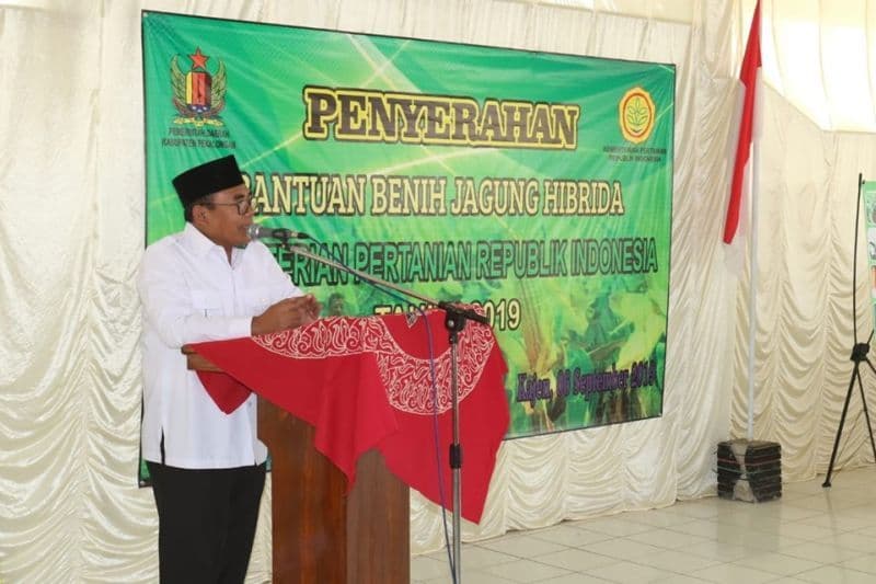 images/2019/berita/09/bibit_jagung