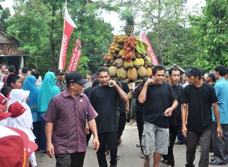 images/2019/berita/01/duren_doro