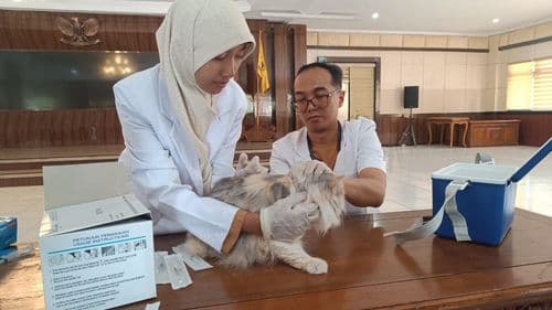 images/2024/berita/10/WhatsApp_Image_2024-10-20_at_102511