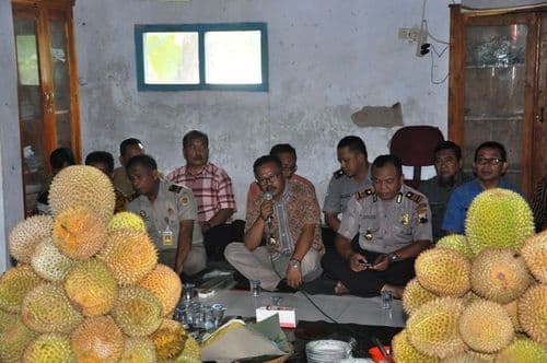 images/2019/berita/01/duren_doro-5