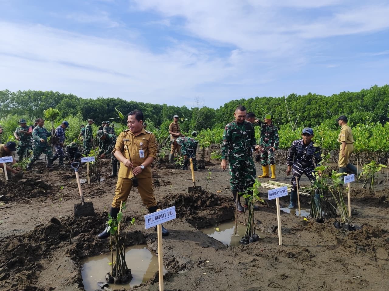 Cegah Abrasi, Ribuan Mangrove Ditanam Serentak di Pantai Wonokerto